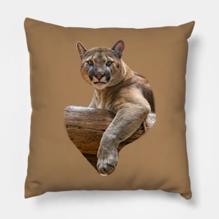 I am not amused Cougar Pillow