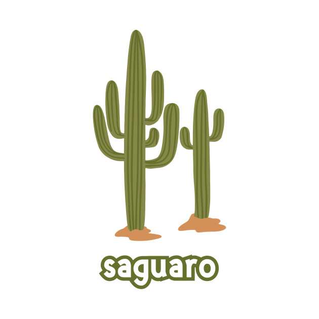 saguaro national park arizona by Medotshirt