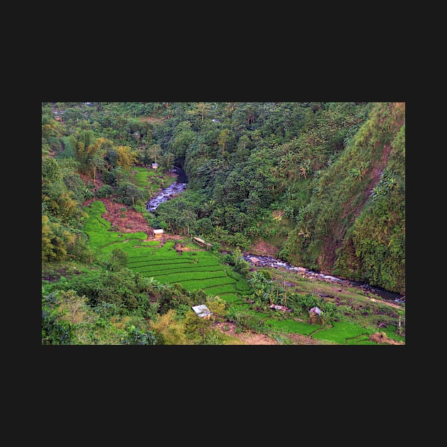 rice field in the valley by likbatonboot