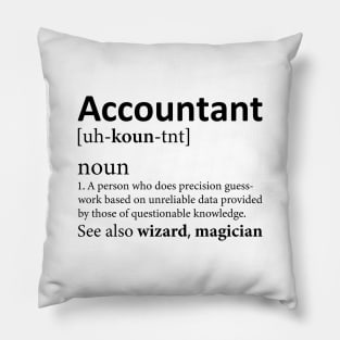 Funny Accountant Definition Pillow