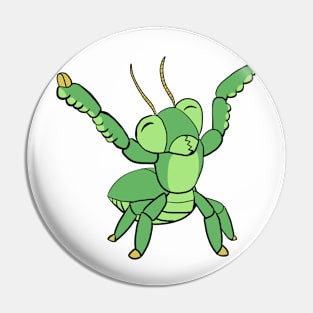 Cute Mantis Friend! Pin