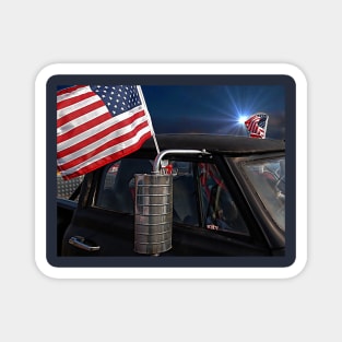 stars and stripes Magnet