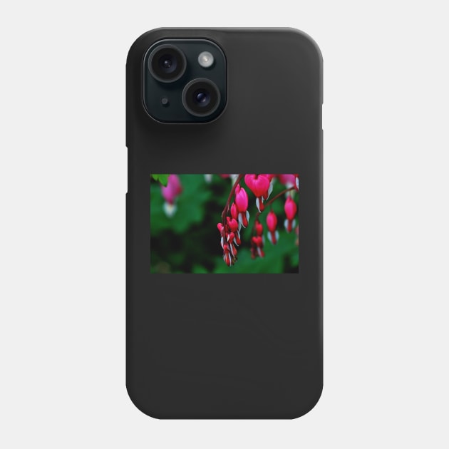 Lamprocapnos Spectabilis Phone Case by axp7884