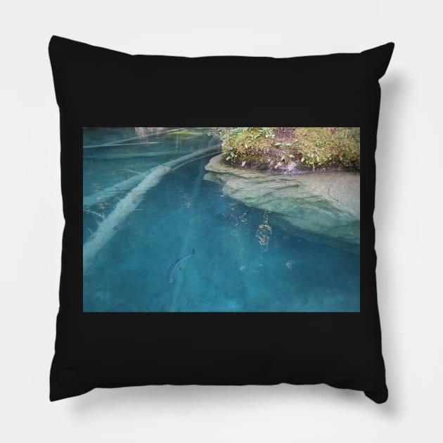 Switzerland -The Blausee Pillow by AnimaliaArt