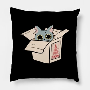 Cute Cat in a Box Pillow