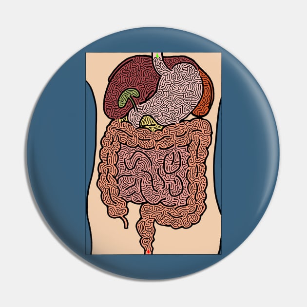 Digestive System Maze Pin by AiXeLsyD13