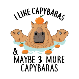 I like Capybaras and maybe 3 people Funny Baby Capybara T-Shirt