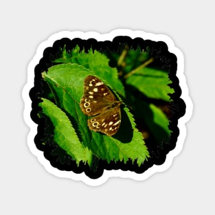 Speckled Wood Butterfly Magnet