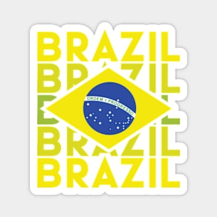 brazilian flag Magnet