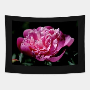 Peony Tapestry