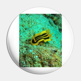 Pumpkin Sea Slug Pin