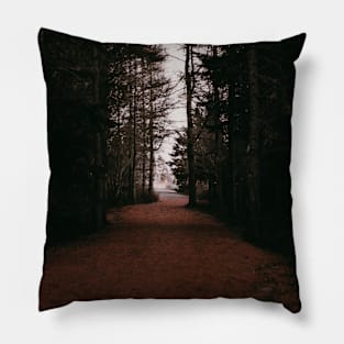 From Darkness to Light, Forest Trail V3 Pillow