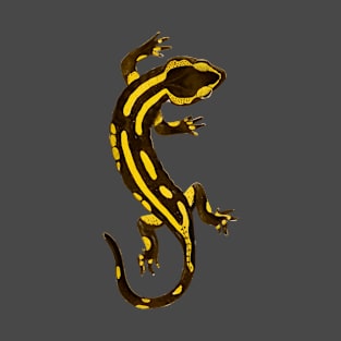 Salamander T-Shirt