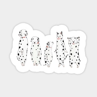 Dalmatian Cat Magnet