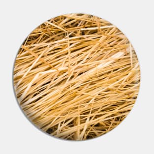 Dried yellow grass Pin