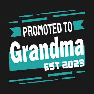 Promoted to Grandma 2023 T-Shirt