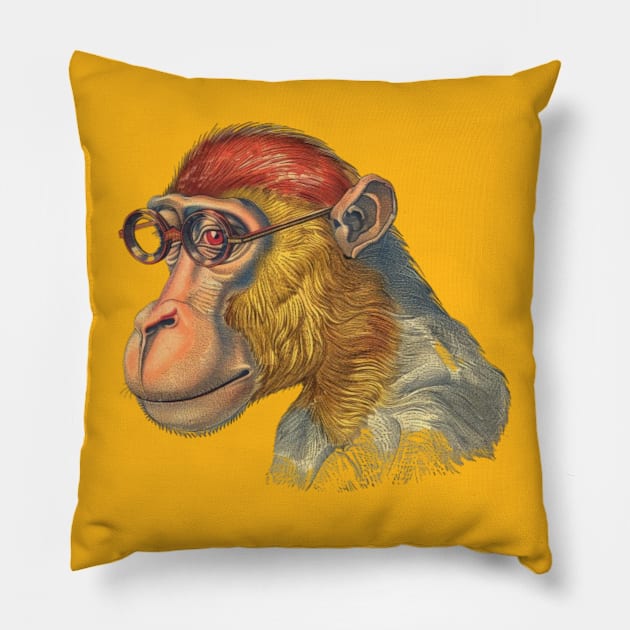 Smarty Monkey Pillow by Carnets de Turig