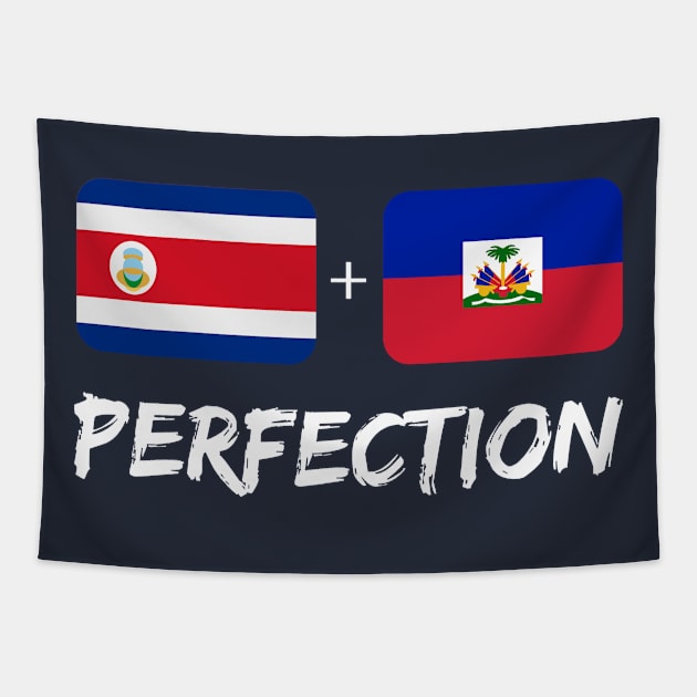 Costa Rican Plus Haitian Perfection Mix Flag Heritage Gift Tapestry by Just Rep It!!