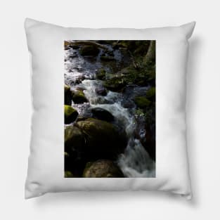 Taggerty Cascades #4 Pillow