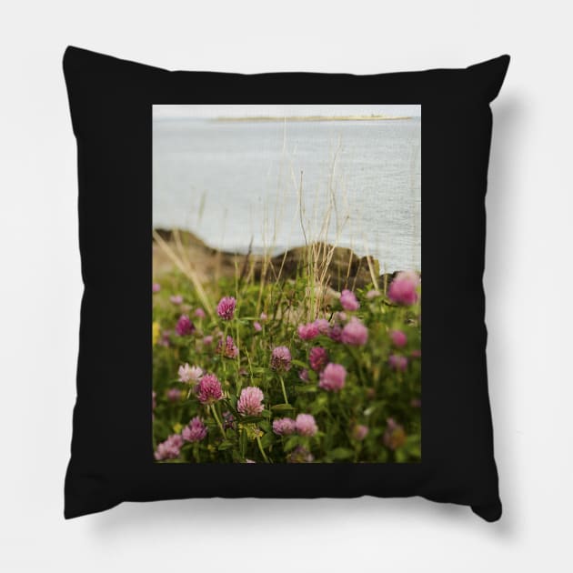 Clover By the Sea Pillow by oliviastclaire