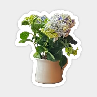 Blue Hydrangea Plant Magnet