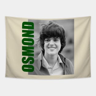 Donny Osmond - New Retro Aesthetic Fan Art Tapestry