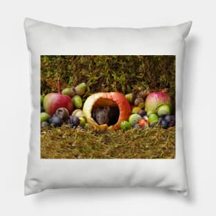 wild house mouse  in a apple Pillow