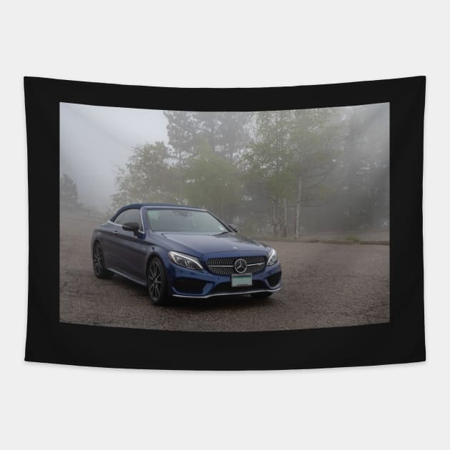 2018 C43A4 Tapestry by gdb2