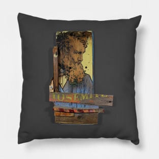 John Muir "Infinite" Pillow