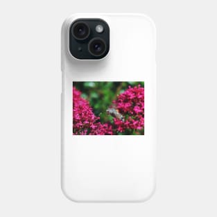 THE PANASONIC FZ 200 PAR OKAIO CREATION Phone Case