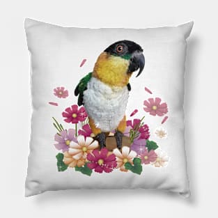 Caique Pillow