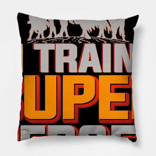 I Train Super Heroes for Teacher Dad Mom Grandpa Pillow