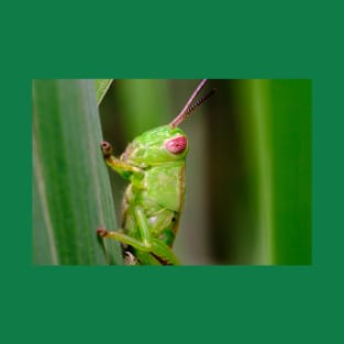 Green Grasshopper Macro Photograph T-Shirt