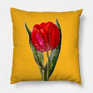 Red Tulip Viscountess Pillow