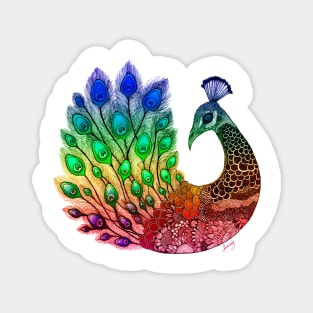 Majestic Peacock Magnet