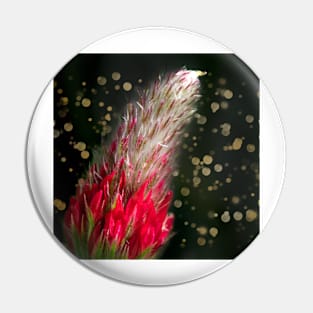 Crimson Clover Gold Pin