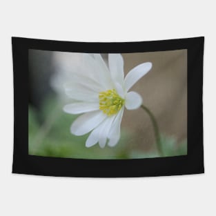 Textured Windflower Tapestry