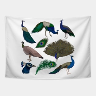 Peacock Collection Tapestry