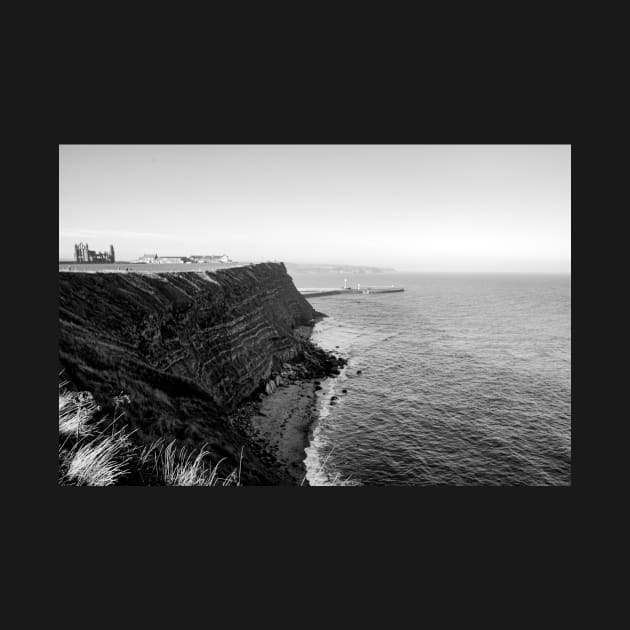 Whitby Coast and Abbey by stuartchard