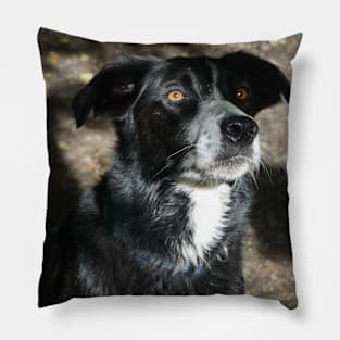 Walk in the Park Pillow