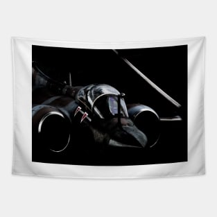 237 Sqn OCU Folded-wing Buccaneer Tapestry