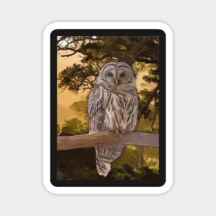 Tawny Owl Artwork Magnet