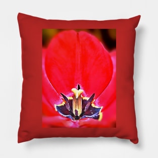 Tulip Pillow