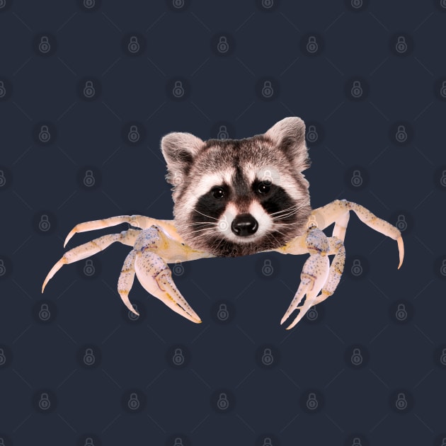 Crab Raccoon by AmuseThings