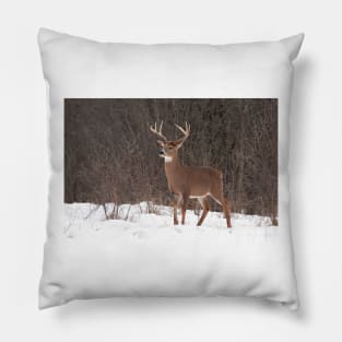 Bambi - White-tailed Buck Pillow