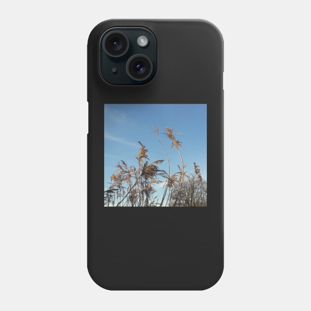 cane in wintertime Phone Case by robelf