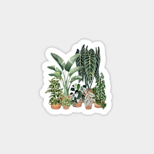 Potted plants art Magnet