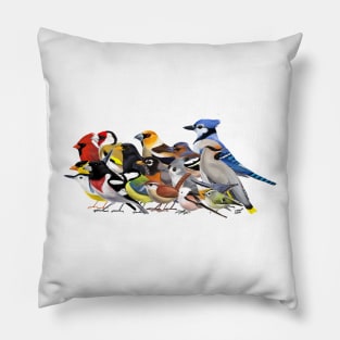 Year of the Bird - Birds of North America and Europe Pillow