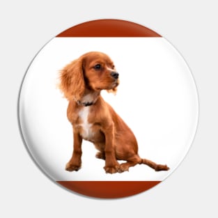 Brown sitting dog Pin