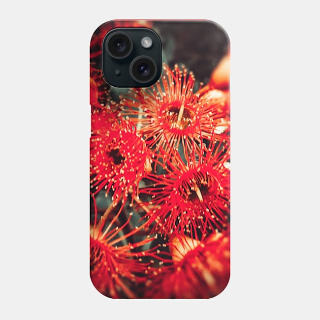 Beautiful Red Spikey Flowers Phone Case by Blue Butterfly Designs 